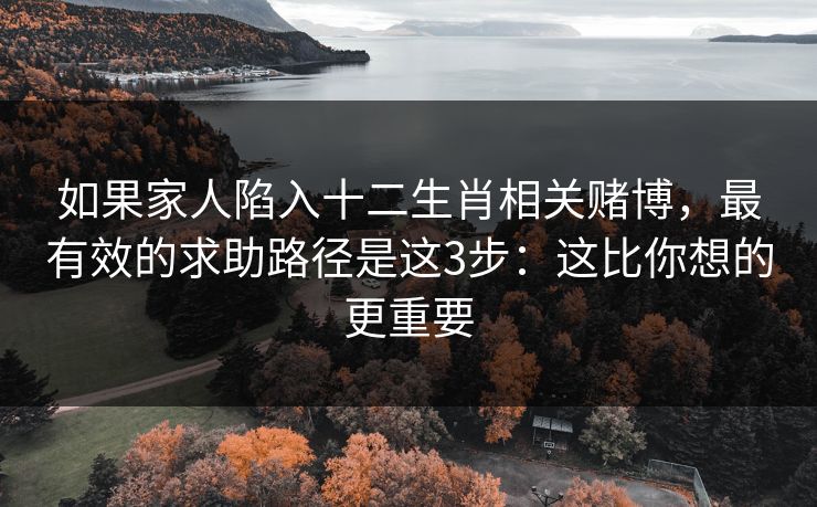 如果家人陷入十二生肖相关赌博，最有效的求助路径是这3步：这比你想的更重要